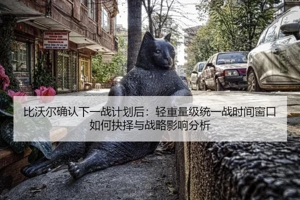 比沃尔确认下一战计划后：轻重量级统一战时间窗口如何抉择与战略影响分析
